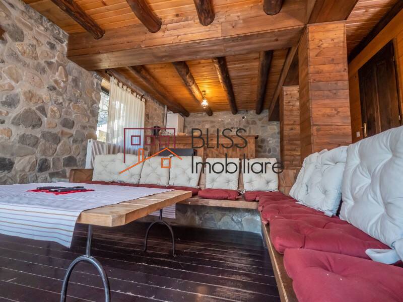 Villa for Sale Moroeni, Comuna Pietrosita, Judetul Dambovita, Romania - 16 Rooms - ID:108872 | Bliss Imobiliare / Photo 47 - BLISS Imobiliare