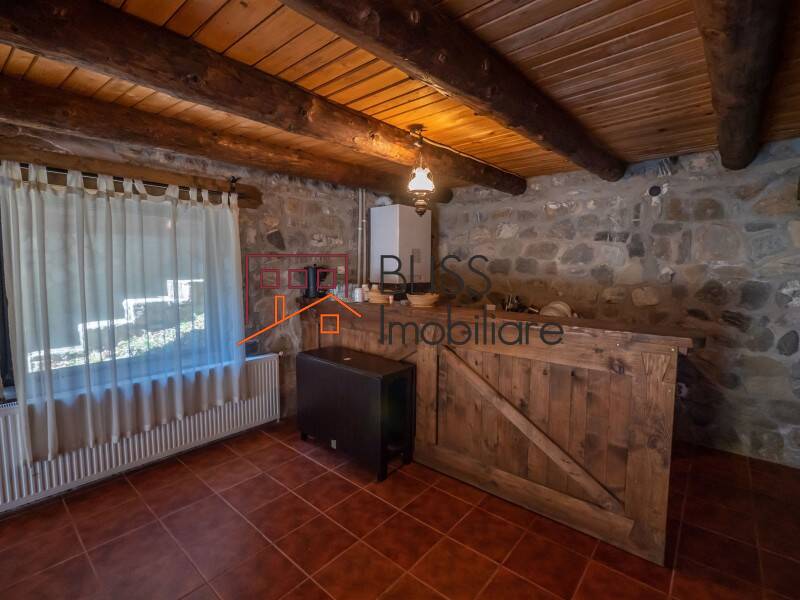 Vila de Vanzare Moroeni - 16 Camere - ID:108872 | Bliss Imobiliare / Photo 48 - BLISS Imobiliare