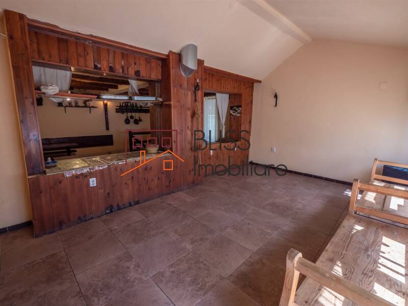 Villa for Sale Moroeni, Comuna Pietrosita, Judetul Dambovita, Romania - 16 Rooms - ID:108872 | Bliss Imobiliare / Photo 51 - BLISS Imobiliare