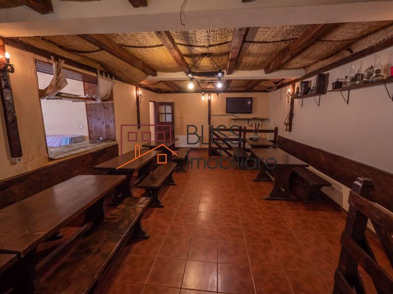 Villa for Sale Moroeni, Comuna Pietrosita, Judetul Dambovita, Romania - 16 Rooms - ID:108872 | Bliss Imobiliare / Photo 52 - BLISS Imobiliare