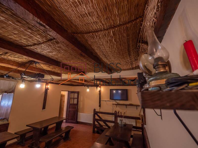 Vila de Vanzare Moroeni - 16 Camere - ID:108872 | Bliss Imobiliare / Photo 53 - BLISS Imobiliare