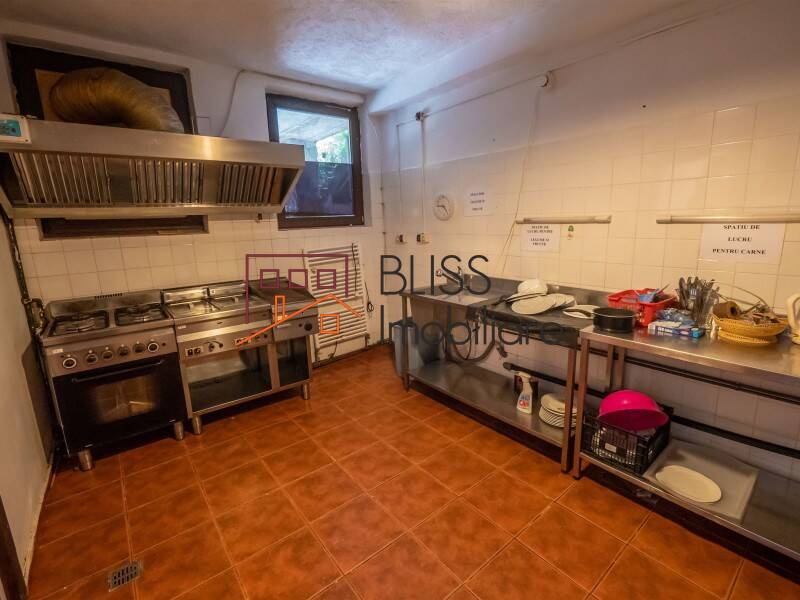 Vila de Vanzare Moroeni - 16 Camere - ID:108872 | Bliss Imobiliare / Photo 54 - BLISS Imobiliare