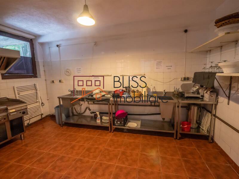 Villa for Sale Moroeni, Comuna Pietrosita, Judetul Dambovita, Romania - 16 Rooms - ID:108872 | Bliss Imobiliare / Photo 55 - BLISS Imobiliare