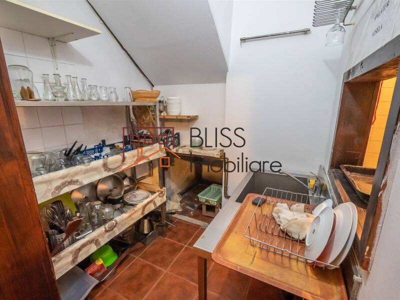 Villa for Sale Moroeni, Comuna Pietrosita, Judetul Dambovita, Romania - 16 Rooms - ID:108872 | Bliss Imobiliare / Photo 56 - BLISS Imobiliare