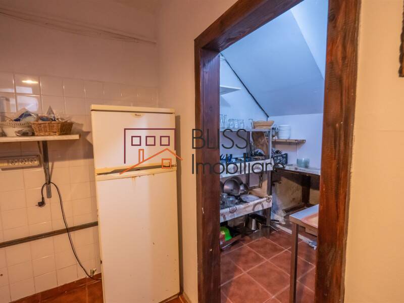 Villa for Sale Moroeni, Comuna Pietrosita, Judetul Dambovita, Romania - 16 Rooms - ID:108872 | Bliss Imobiliare / Photo 58 - BLISS Imobiliare
