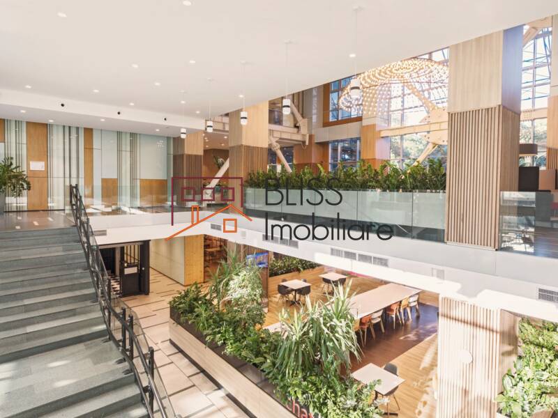 Photo 7 - BLISS Imobiliare