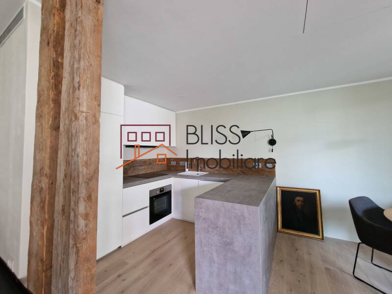 Apartment for Rent Dorobanti | Primaverii | Kiseleff | Aviatorilor, Bucharest - 2 Bedroom - ID:109980 | Bliss Imobiliare / Photo 8 - BLISS Imobiliare