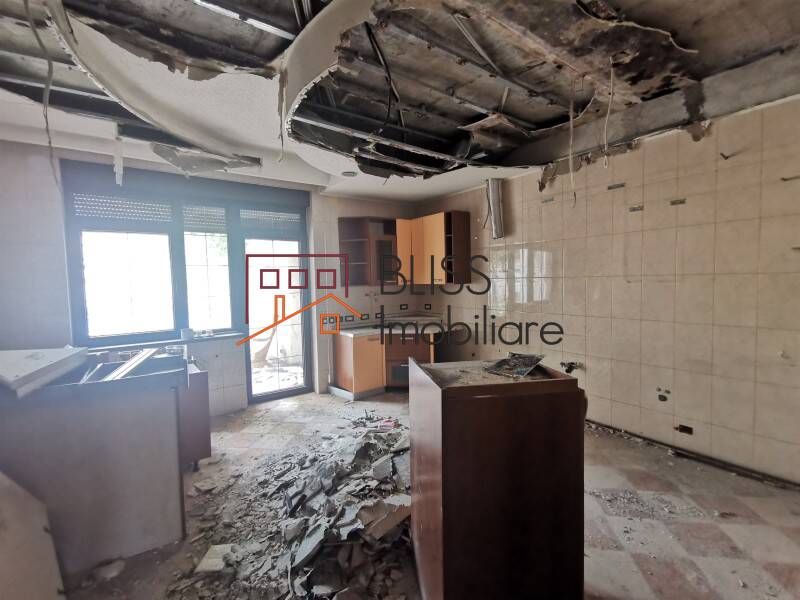 850sqm Villa With Garden Iancu Nicolae, Bucharest / Ilfov | Bliss Imobiliare / Photo 7 - BLISS Imobiliare