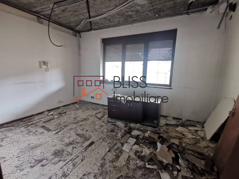 Vila 850mp Cu Gradina Iancu Nicolae | Bliss Imobiliare / Photo 8 - BLISS Imobiliare