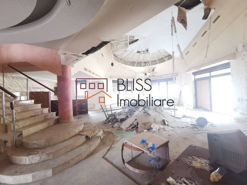 Vila 850mp Cu Gradina Iancu Nicolae | Bliss Imobiliare / Photo 3 - BLISS Imobiliare