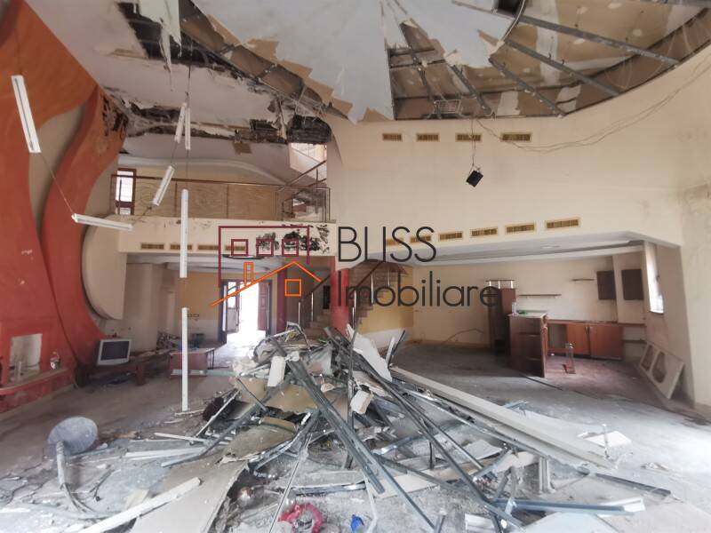 Vila 850mp Cu Gradina Iancu Nicolae | Bliss Imobiliare / Photo 4 - BLISS Imobiliare