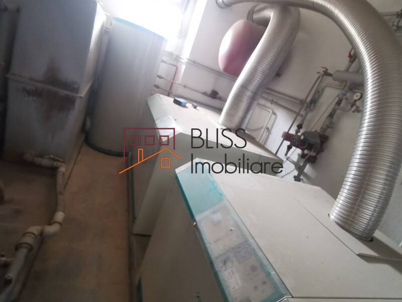 Vila 850mp Cu Gradina Iancu Nicolae | Bliss Imobiliare / Photo 9 - BLISS Imobiliare