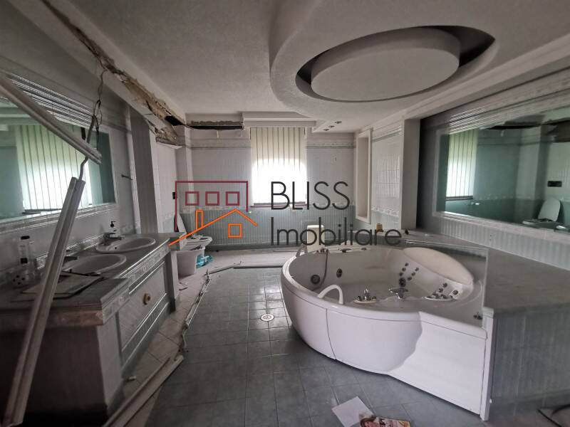 Vila 850mp Cu Gradina Iancu Nicolae | Bliss Imobiliare / Photo 13 - BLISS Imobiliare