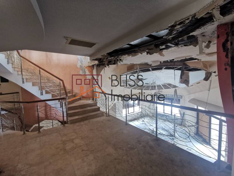 Vila 850mp Cu Gradina Iancu Nicolae | Bliss Imobiliare / Photo 20 - BLISS Imobiliare