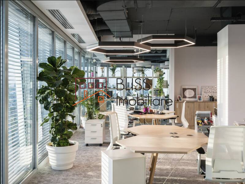 Photo 7 - BLISS Imobiliare