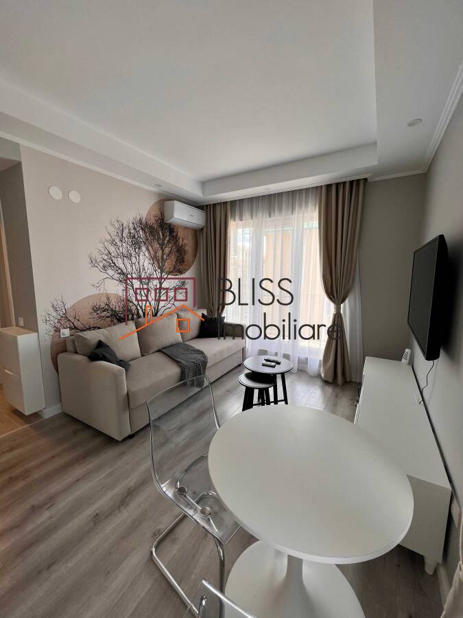 Studio apartment for Rent Iancu Nicolae Pipera, Bucharest ID110272