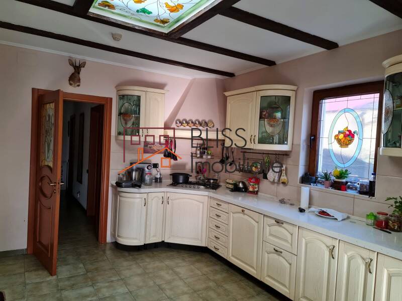 Vila 5 Camere Cu Gradina Iancu Nicolae | Bliss Imobiliare / Photo 14 - BLISS Imobiliare