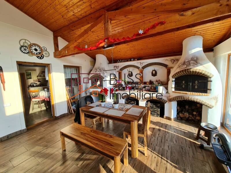 Vila 5 Camere Cu Gradina Iancu Nicolae | Bliss Imobiliare / Photo 16 - BLISS Imobiliare