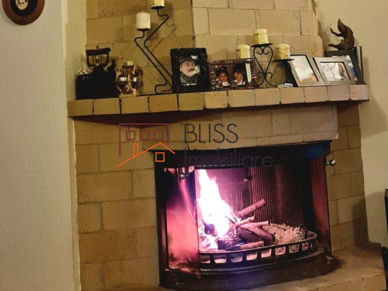 4-bedroom Villa With Garden Iancu Nicolae, Bucharest / Ilfov | Bliss Imobiliare / Photo 5 - BLISS Imobiliare