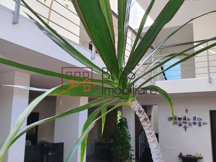 Vila 6 Camere Teren Generos | Bliss Imobiliare / Photo 1 - BLISS Imobiliare