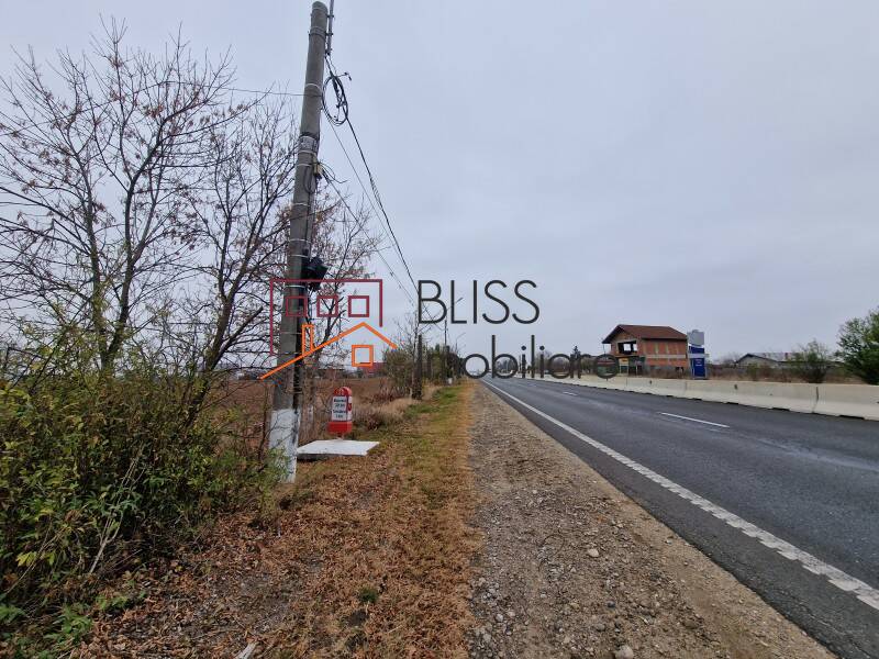 Photo 15 - BLISS Imobiliare