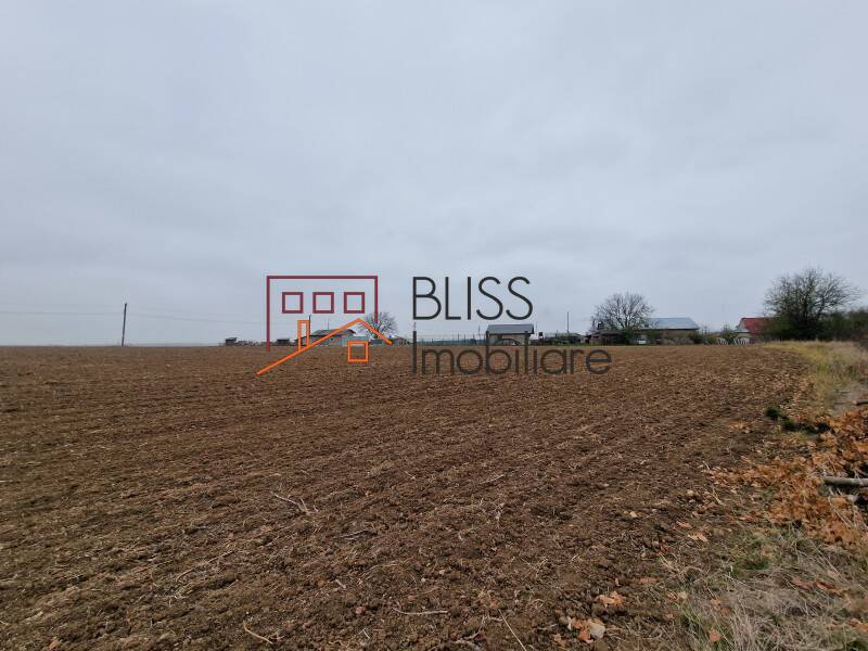 Photo 17 - BLISS Imobiliare