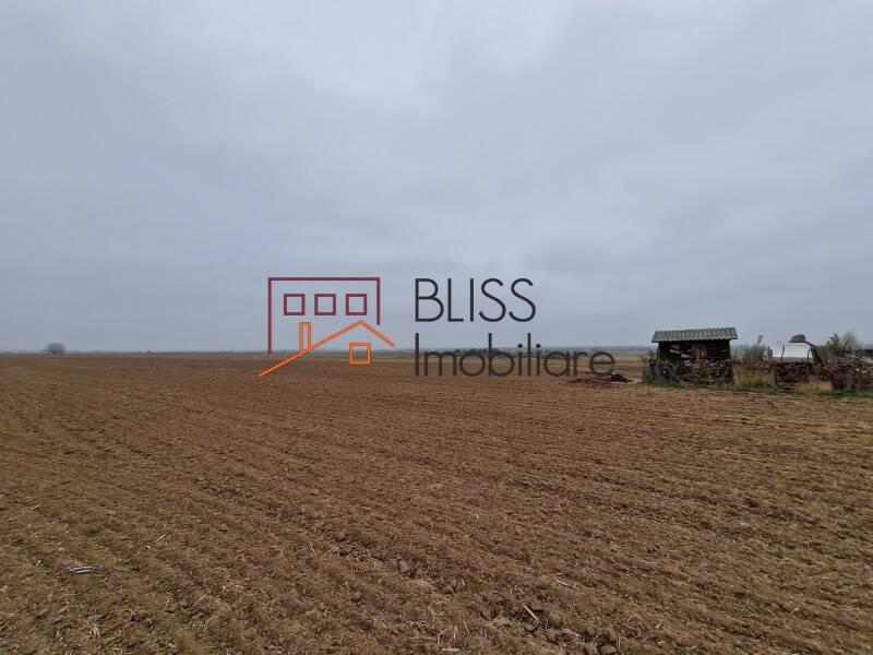 Photo 5 - BLISS Imobiliare