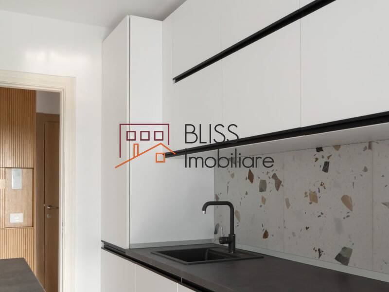 1 Bedroom Apartment In Herastrau Area, Bucharest | Bliss Imobiliare / Photo 23 - BLISS Imobiliare