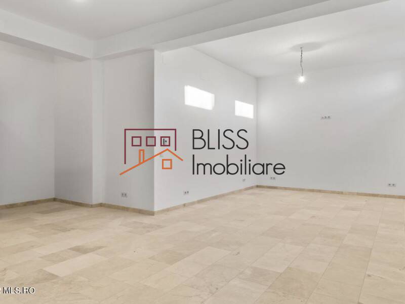 Vila de Vanzare Baneasa | Sisesti | Jandarmerie | Straulesti | Sector 1 - 7 Camere - ID:113257 | Bliss Imobiliare / Photo 12 - BLISS Imobiliare