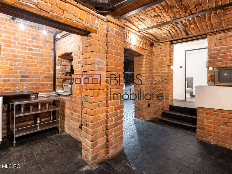 Villa for Sale Foisorul de Foc, Bucharest - 6 Bedroom - ID:113266 | Bliss Imobiliare / Photo 7 - BLISS Imobiliare