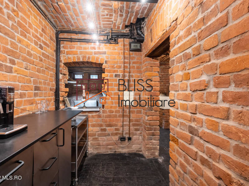 Villa for Sale Foisorul de Foc, Bucharest - 6 Bedroom - ID:113266 | Bliss Imobiliare / Photo 63 - BLISS Imobiliare