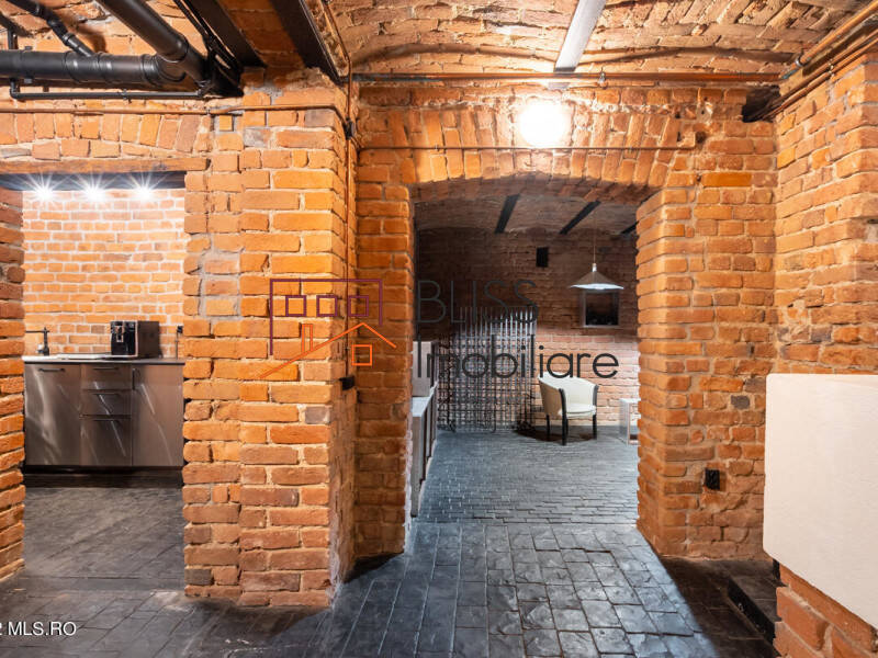 Villa for Sale Foisorul de Foc, Bucharest - 6 Bedroom - ID:113266 | Bliss Imobiliare / Photo 64 - BLISS Imobiliare