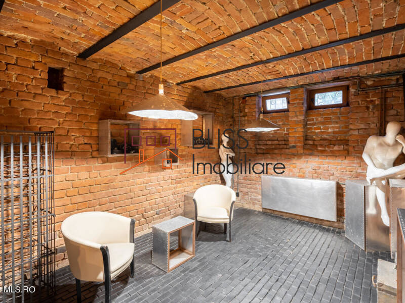 Villa for Sale Foisorul de Foc, Bucharest - 6 Bedroom - ID:113266 | Bliss Imobiliare / Photo 66 - BLISS Imobiliare