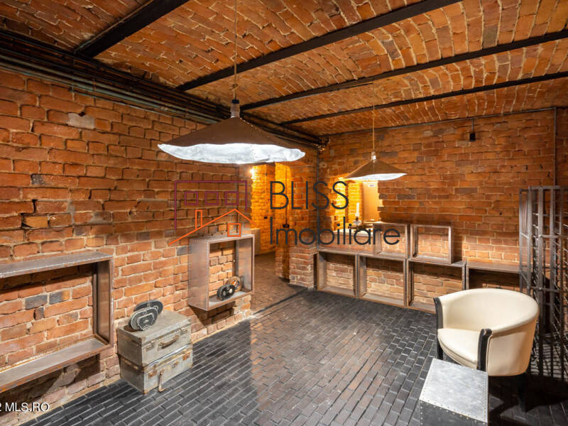 Villa for Sale Foisorul de Foc, Bucharest - 6 Bedroom - ID:113266 | Bliss Imobiliare / Photo 68 - BLISS Imobiliare