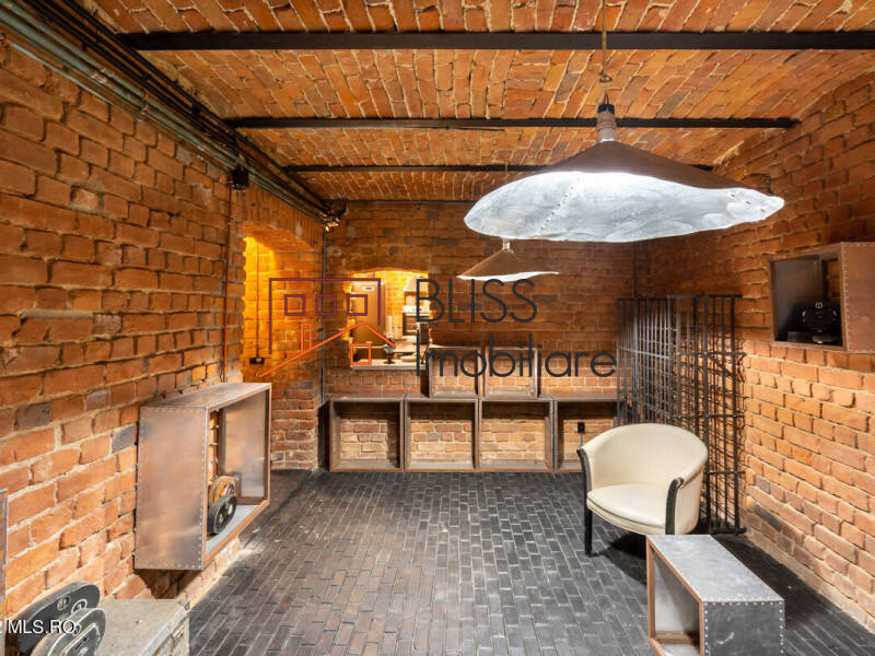 Villa for Sale Foisorul de Foc, Bucharest - 6 Bedroom - ID:113266 | Bliss Imobiliare / Photo 69 - BLISS Imobiliare