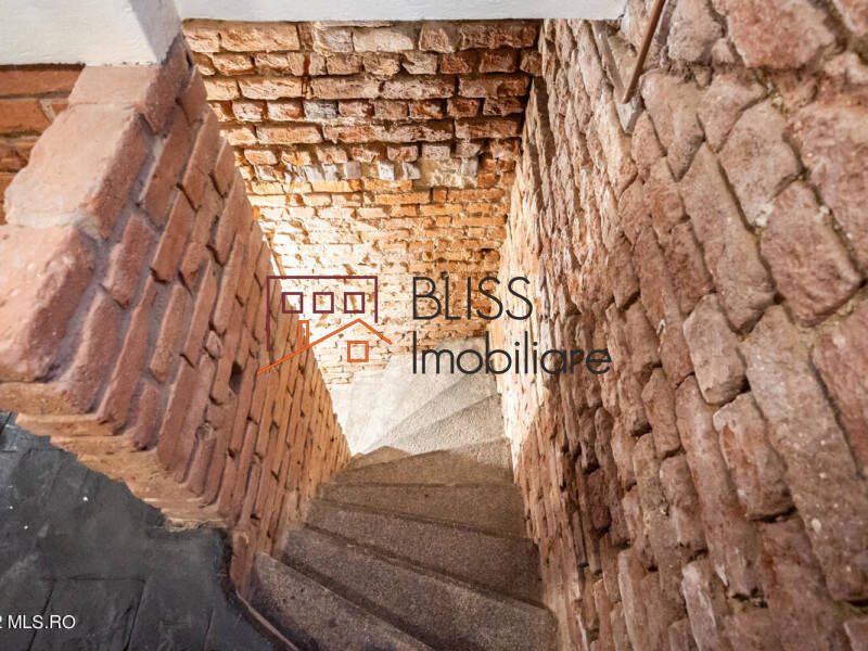 Villa for Sale Foisorul de Foc, Bucharest - 6 Bedroom - ID:113266 | Bliss Imobiliare / Photo 75 - BLISS Imobiliare