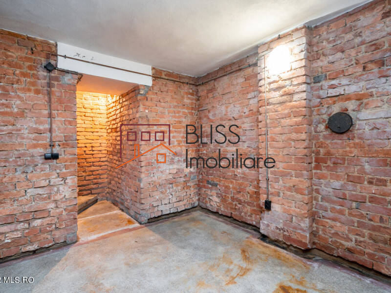 Villa for Sale Foisorul de Foc, Bucharest - 6 Bedroom - ID:113266 | Bliss Imobiliare / Photo 77 - BLISS Imobiliare