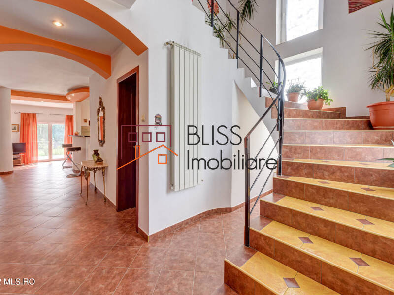 Casa de Vanzare Otopeni | Tunari - 5 Camere - ID:113283 | Bliss Imobiliare / Photo 13 - BLISS Imobiliare