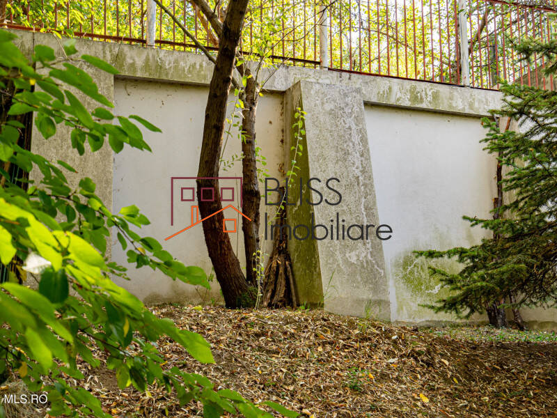Villa for Sale Baneasa | Sisesti | Jandarmerie | Straulesti | Sector 1, Bucharest - 2 Bedroom - ID:113288 | Bliss Imobiliare / Photo 31 - BLISS Imobiliare