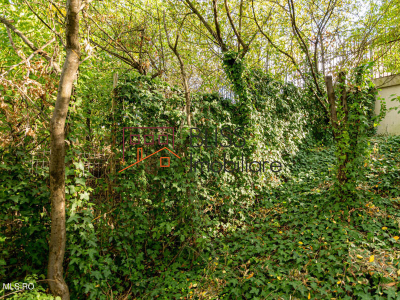 Villa for Sale Baneasa | Sisesti | Jandarmerie | Straulesti | Sector 1, Bucharest - 2 Bedroom - ID:113288 | Bliss Imobiliare / Photo 32 - BLISS Imobiliare