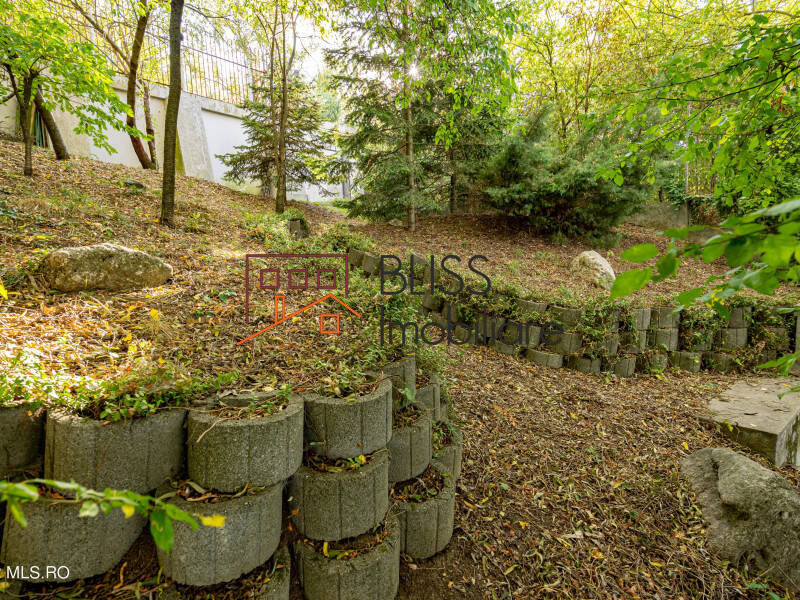 Villa for Sale Baneasa | Sisesti | Jandarmerie | Straulesti | Sector 1, Bucharest - 2 Bedroom - ID:113288 | Bliss Imobiliare / Photo 33 - BLISS Imobiliare