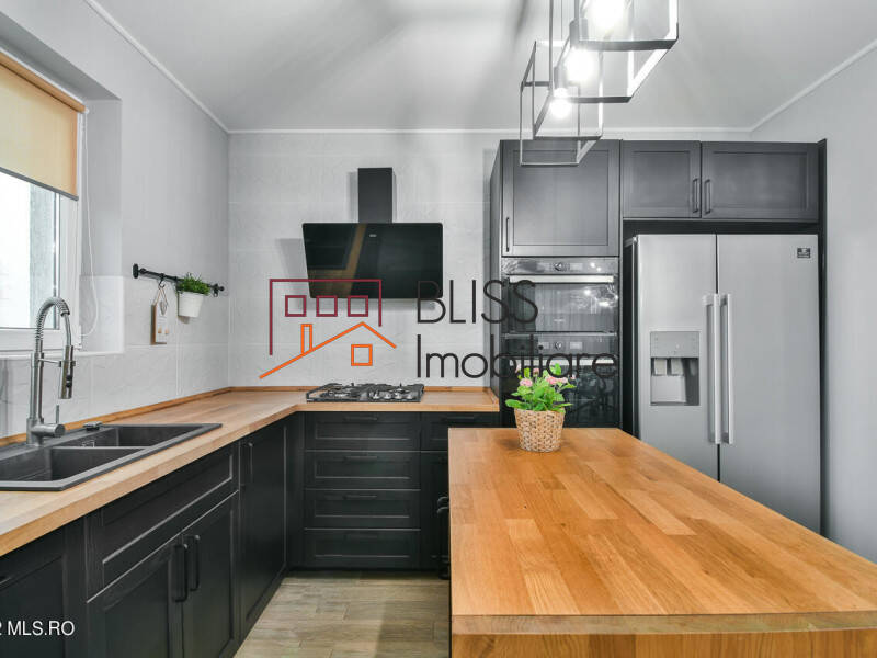 House for Sale Comuna Berceni, Bucharest / Ilfov - 3 Bedroom - ID:113311 | Bliss Imobiliare / Photo 27 - BLISS Imobiliare