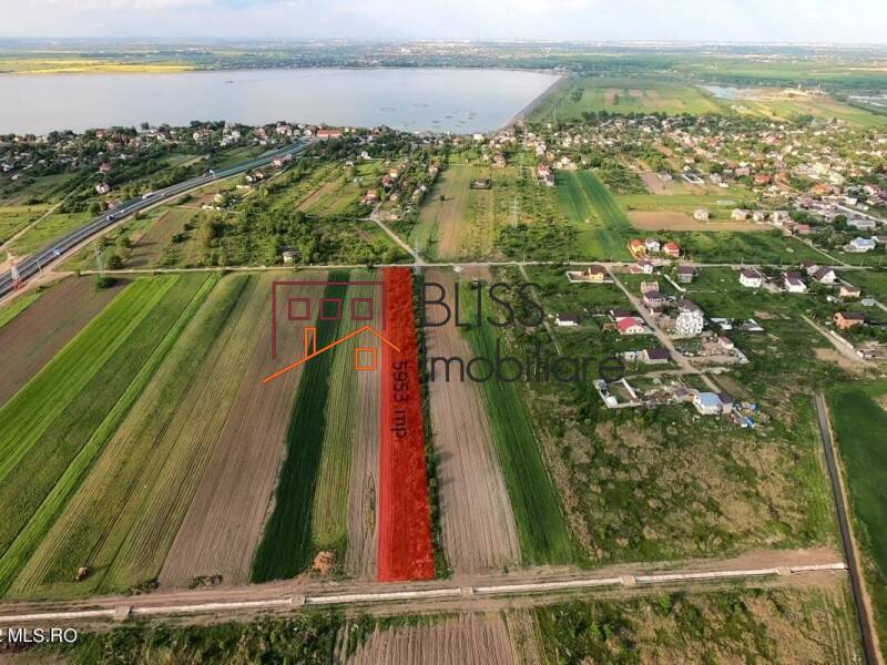 Photo 2 - BLISS Imobiliare