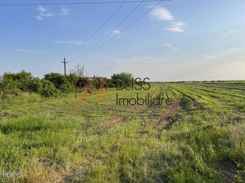 Photo 3 - BLISS Imobiliare