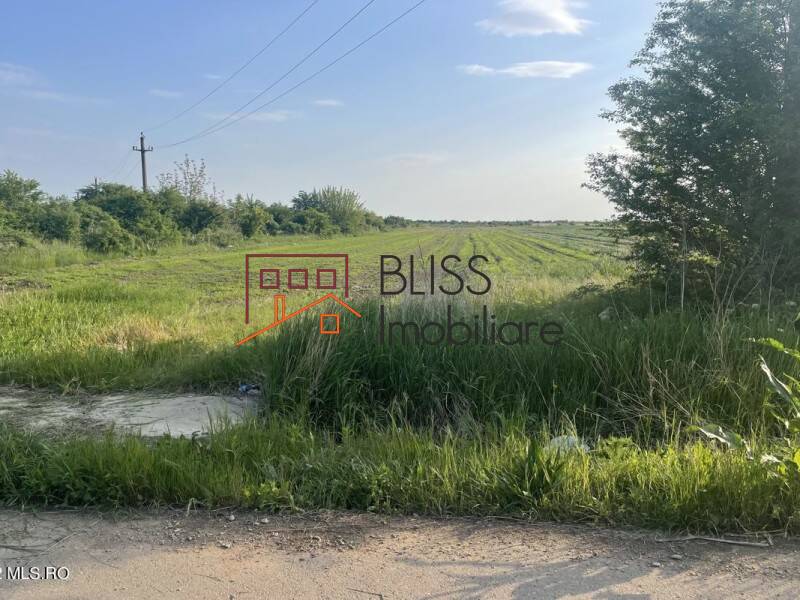 Photo 4 - BLISS Imobiliare