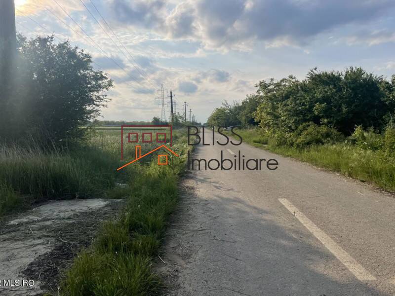 Photo 5 - BLISS Imobiliare