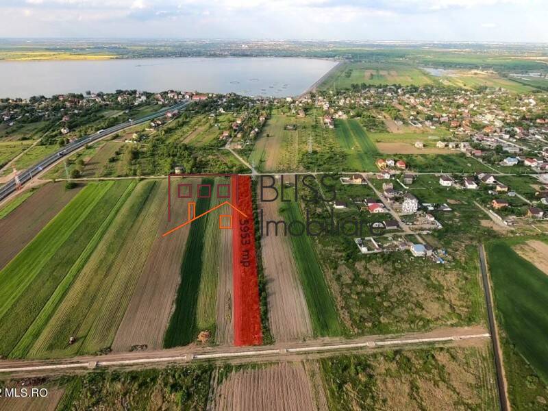 Photo 6 - BLISS Imobiliare