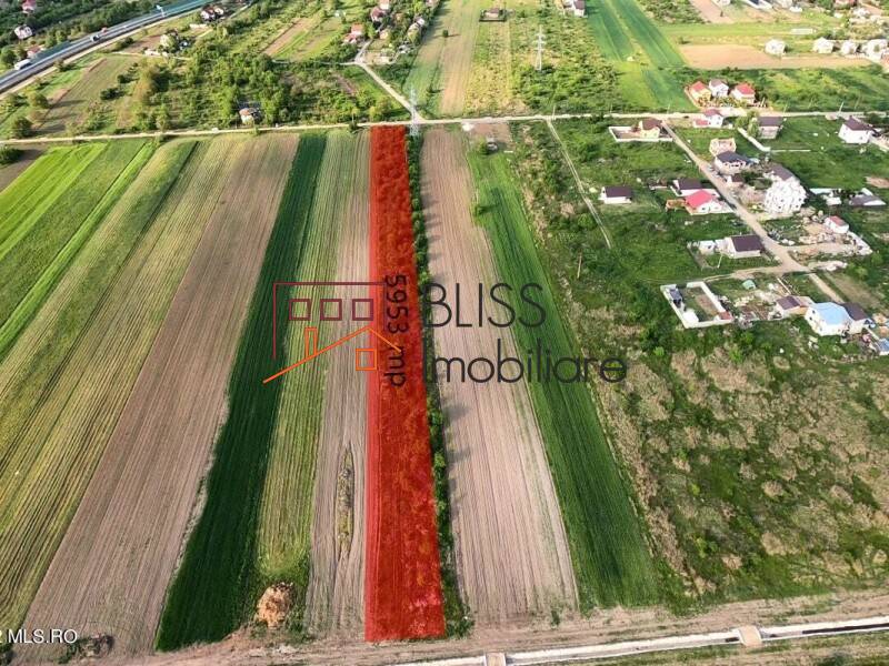 Photo 7 - BLISS Imobiliare