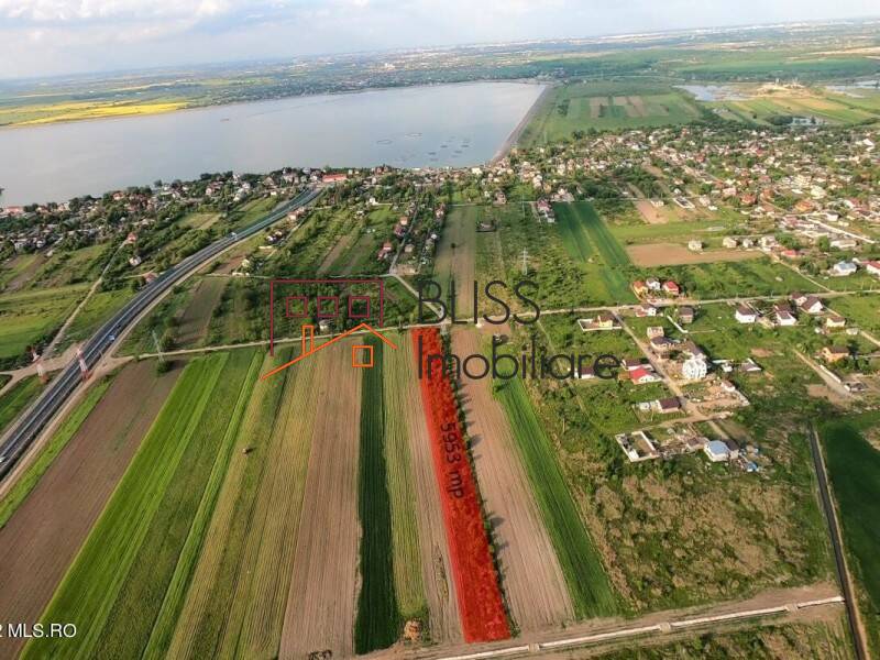 Photo 8 - BLISS Imobiliare