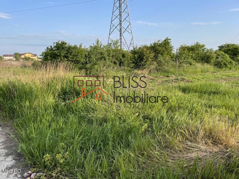 Photo 9 - BLISS Imobiliare
